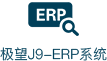 极望J9-ERP系统